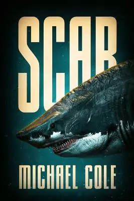 Scar by Michael Cole Offerta